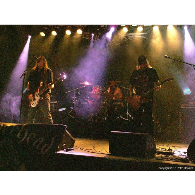 29.05.2015 | Rüsselsheim, Das Rind