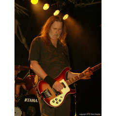 29.05.2015 | Rüsselsheim, Das Rind