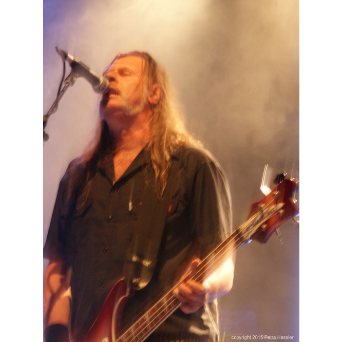 29.05.2015 | Rüsselsheim, Das Rind