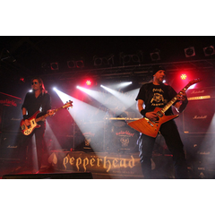 07.01.2017 | Aschaffenburg, JuKuz (Lemmy Kilmister Memorial)
copyright 2017 Wolfgang Schmeer